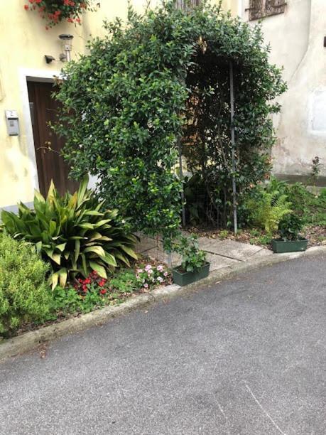 Il Casale Del Miele Bed & Breakfast Fraforeano Dış mekan fotoğraf