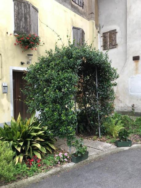 Il Casale Del Miele Bed & Breakfast Fraforeano Dış mekan fotoğraf